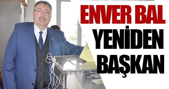  Bal güven tazeledi