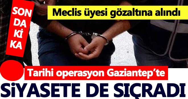  Bataklık operasyonunda belediye meclis üyesi gözaltına alındı