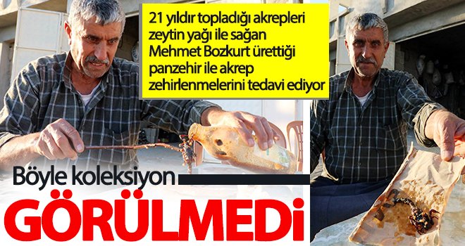  Bozkurt, ürettiği panzehir ile akrep sokmalarına umut oluyor