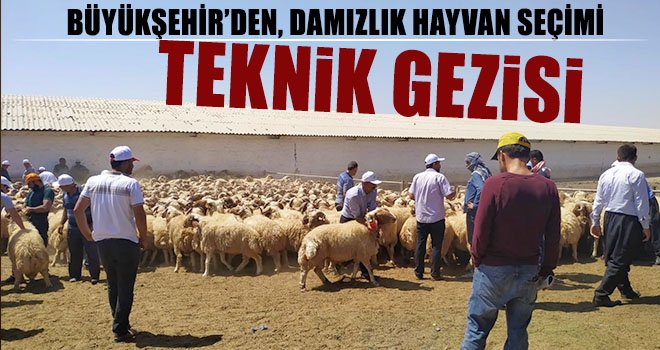  Damızlık Hayvan Seçimi Teknik Gezi programı