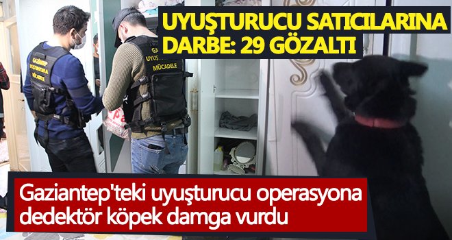  Dedektör köpeğin yoğun tepkisi zulayı ortaya çıkardı
