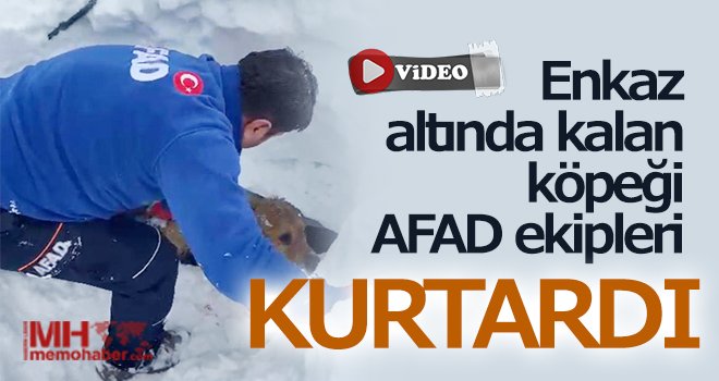  Enkaz altında kalan köpeği AFAD ekipleri kurtardı
