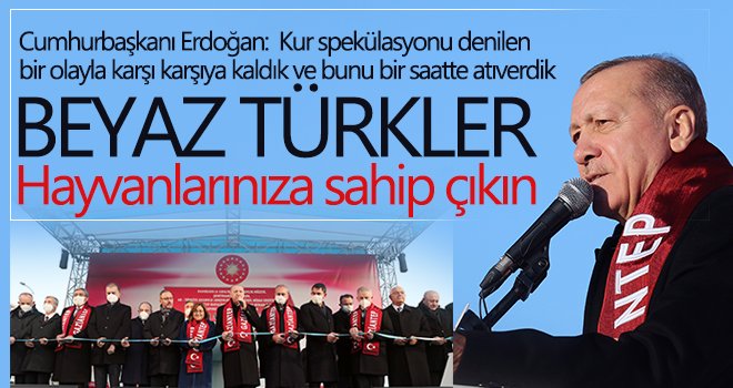  Erdoğan: Beyaz Türkler hayvanlarınıza sahip çıkın