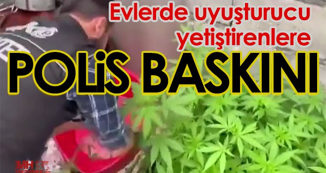  Evlerinin içini uyuşturucu tarlasına çevirmişler