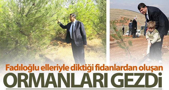  Fadıloğlu elleriyle diktiği fidanlardan oluşan ormanları gezdi