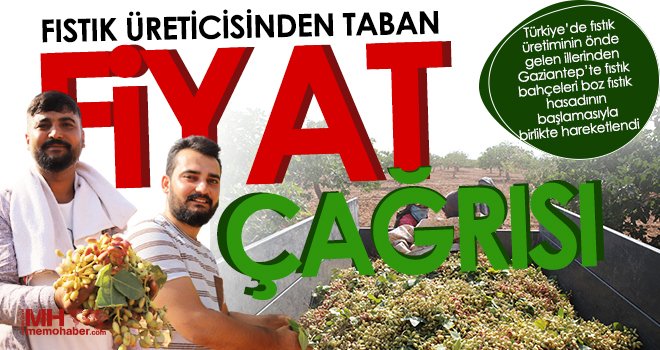 Fıstık üreticisinden taban fiyat çağrısı
