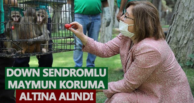  Gaziantep Hayvanat Bahçesi yeni üyelerine kavuştu