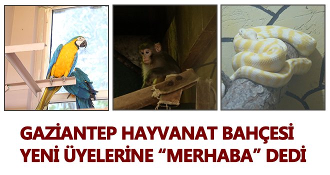  Gaziantep Hayvanat Bahçesi yeni üyelerine merhaba dedi