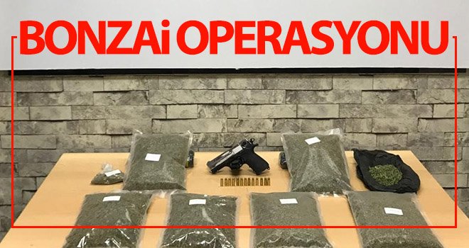  Gaziantep'te 3 kilo bonzai ele geçirildi