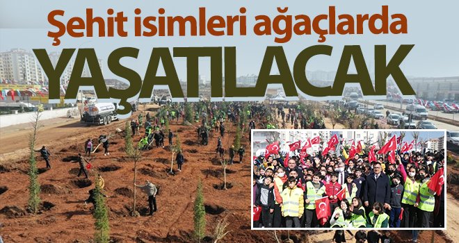 Gaziantep’te şehit isimleri ağaçlarda yaşatılacak