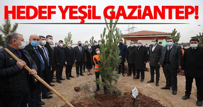  Gaziantep'te yeşil hedef