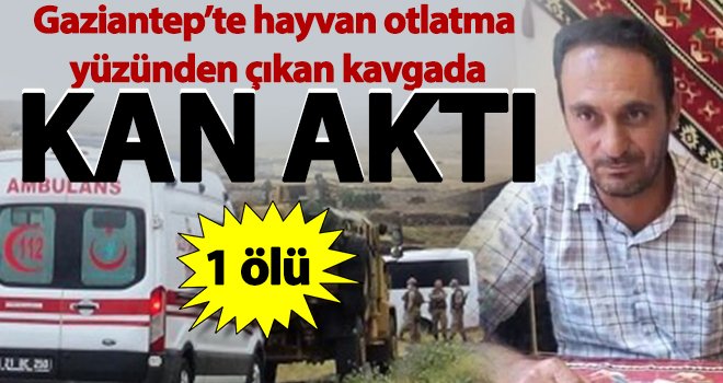  Hayvan otlatma yüzünden çıkan kavgada kan aktı