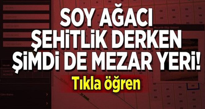  İnternete Tıkla Mezar Yerini Öğrenme Hizmeti!