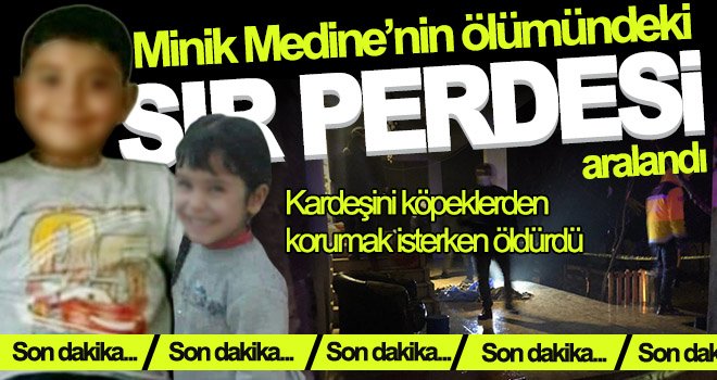 Köpekleri uzaklaştırmak isterken kardeşini vurmuş
