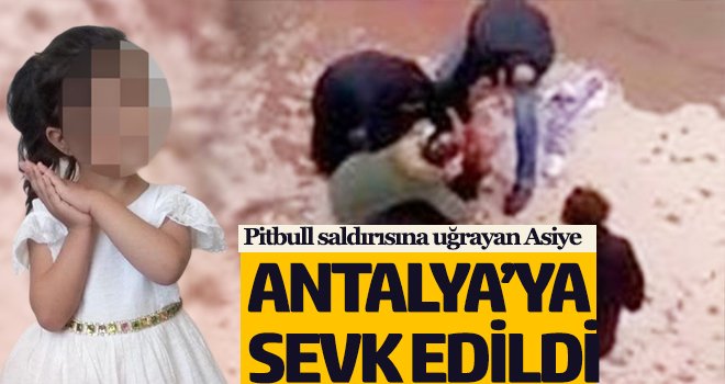  Minik Asiye’nin tedavisini ünlü profesör üstlendi