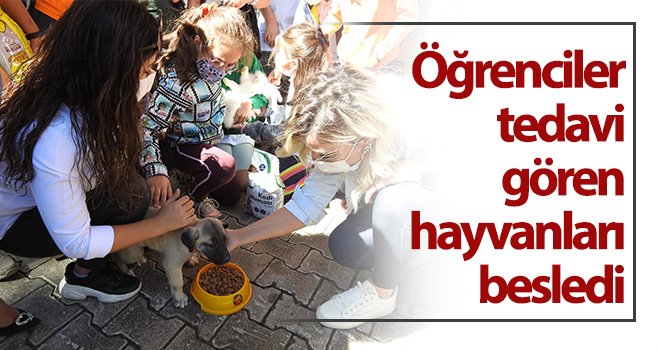  Öğrenciler tedavi gören hayvanları besledi