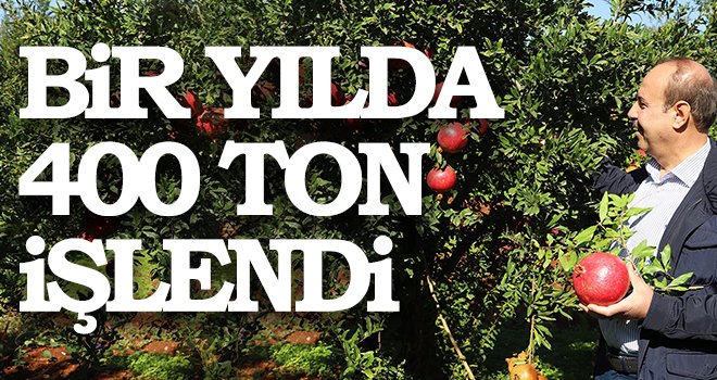  Oğuzeli'nde bir yılda 400 ton nar işlendi
