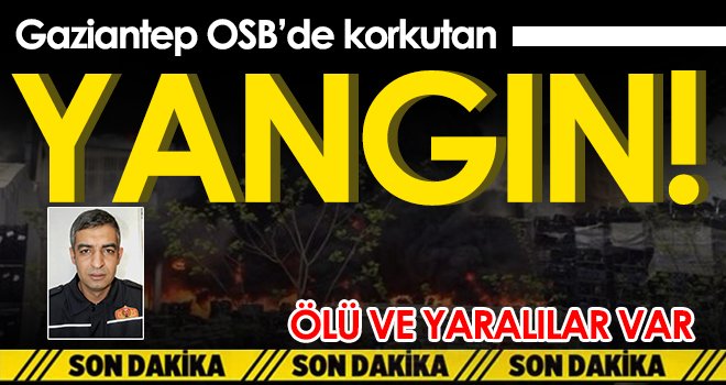  Pamuk fabrikasında yangın: 1 itfaiye eri öldü, 9 kişi yaralandı