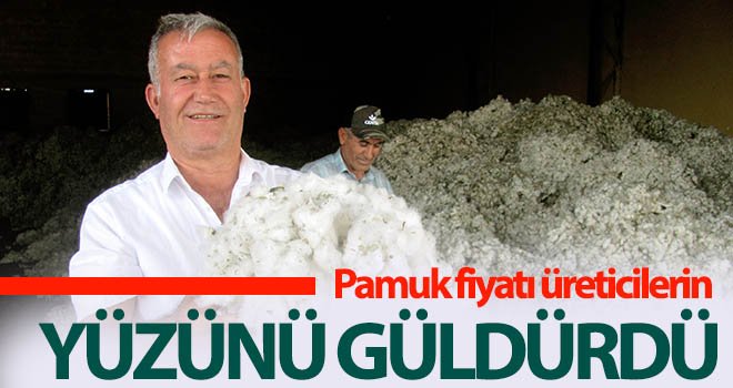  Pamuk üreticisinin yüzü açıklanan fiyatla güldü