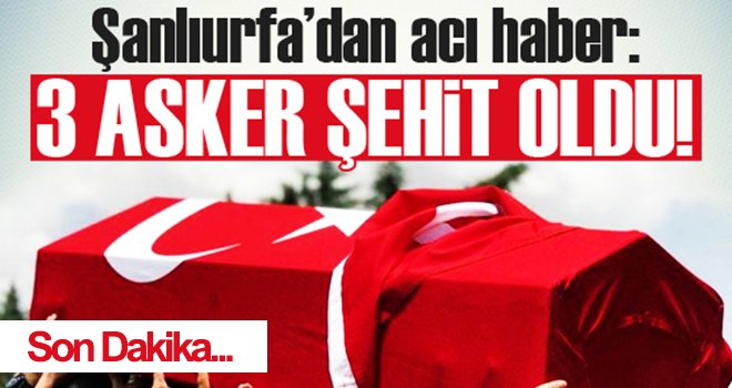  Şanlıurfa’dan acı haber: 3 şehit, 1 yaralı
