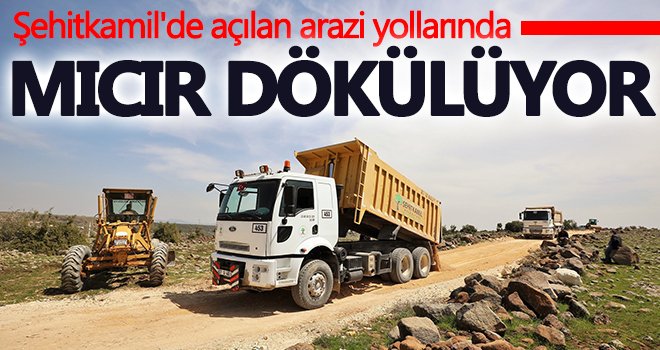  Şehitkamil'de açılan arazi yollarında mıcır dökülüyor