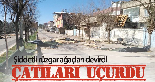  Şiddetli rüzgar ağaçları devirdi, çatıları uçurdu