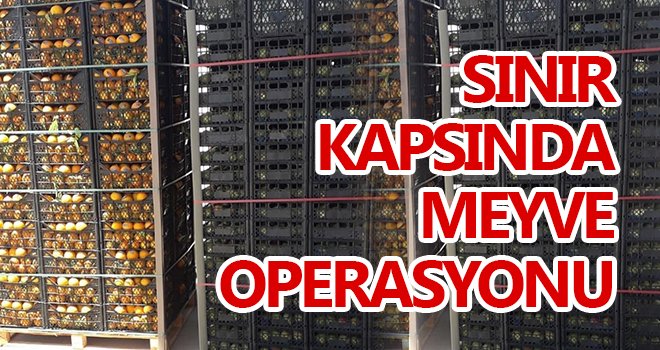  Sınır Kapsında meyve operasyonu