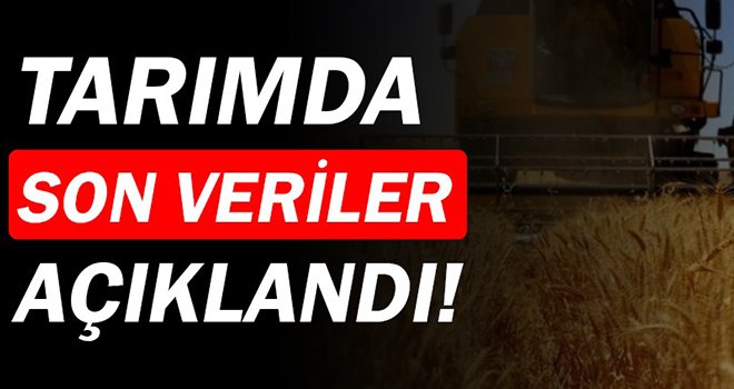 Tarım ürünlerinde fiyatlar arttı...