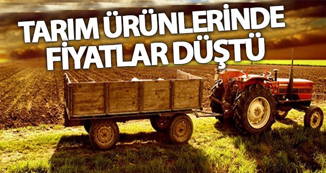 Tarım ürünlerinde fiyatlar bir önceki aya göre düştü