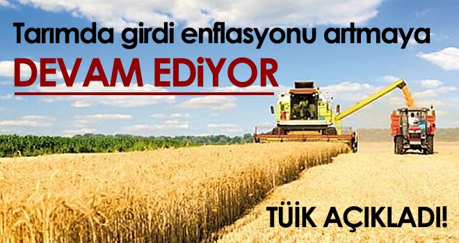  Tarımsal girdi fiyat endeksi belli oldu