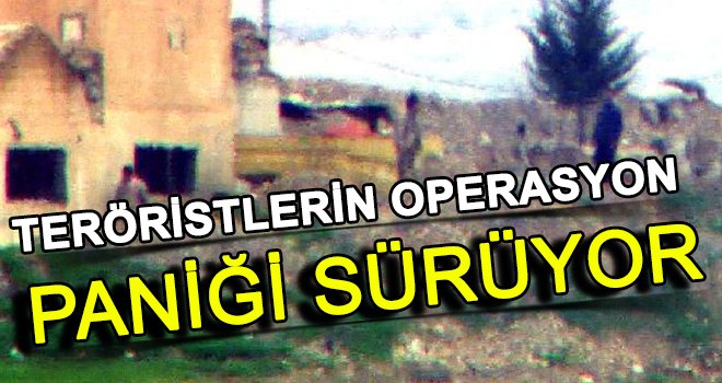  Terör örgütündeki tedirginlik devam ediyor