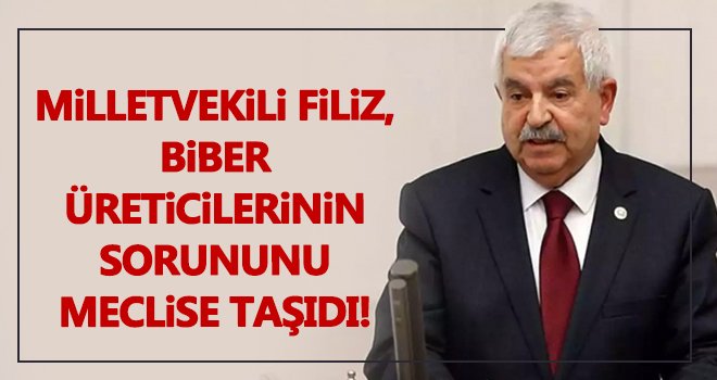  Vekil Filiz, kırmızı biber üreticilerinin sorunlarını meclise taşıdı