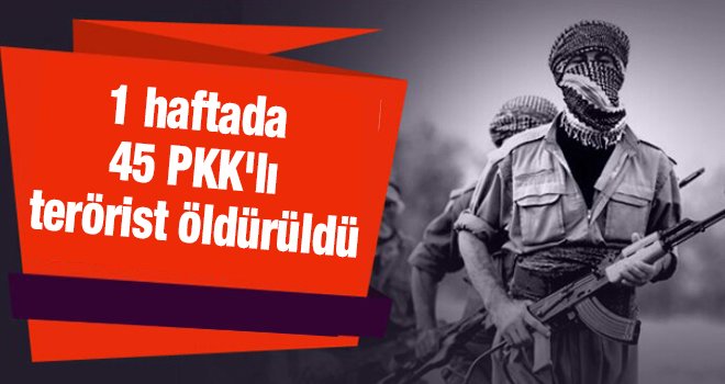 1 haftada 45 PKK'lı terörist öldürüldü!