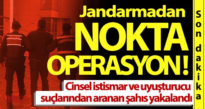 11 yıl hapis cezası bulunan şahıs jandarmaya yakalandı