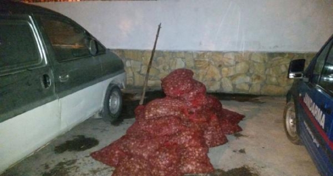 Enezde 1 Ton Kaçak Midye Ele Geçirildi 