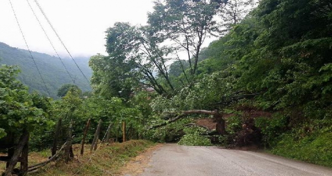 Düzcede Köy Yolunda Heyelan