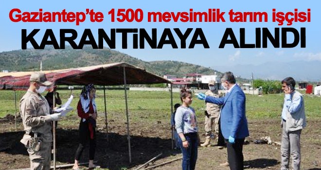 1500 mevsimlik tarım işçisi çadırlarında karantinada 