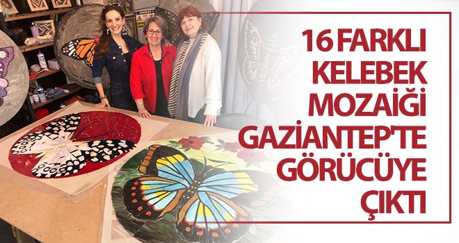 16 farklı kelebek mozaiği, Gaziantep'te görücüye çıktı