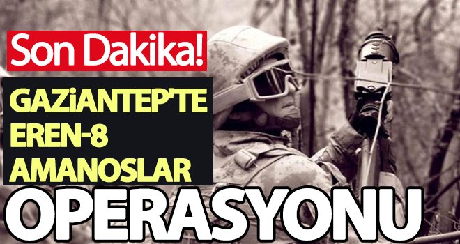1670 personelin katılımıyla 'Eren-8 Amanoslar Operasyonu' başlatıldı