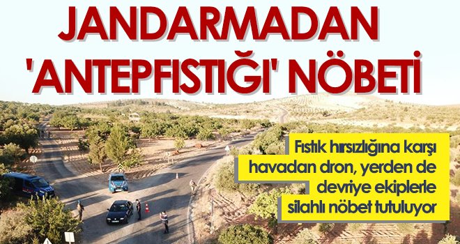 17 sabit yol kontrol noktası oluşturuldu, ekipler devriyeye başladı 
