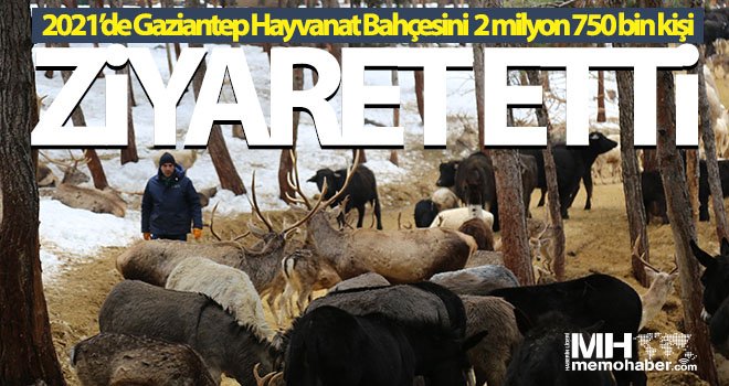 2021’de Gaziantep Hayvanat Bahçesini 2 milyon 750 bin kişi ziyaret etti