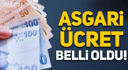 2023 asgari ücret zammı belli oldu!