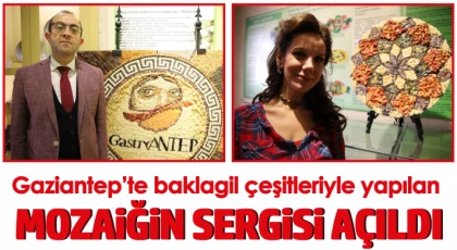 Baklagil çeşitleriyle mozaik yaptılar