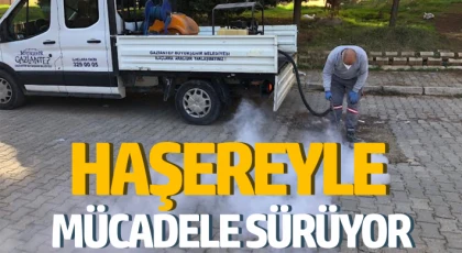 Büyükşehir, haşerelere karşı ilaçlama çalışmalarını sürdürüyor