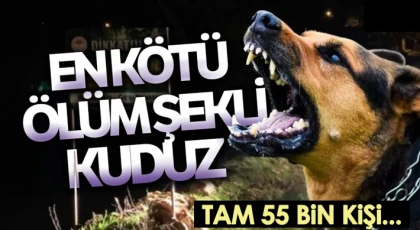 En kötü ölüm şekli 'KUDUZ'