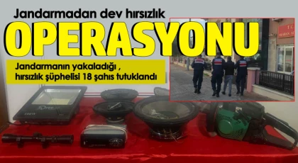 Jandarmanın yakaladığı hırsızlık şüphelisi 18 şahıs tutuklandı