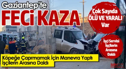 Köpeklere çarpmamak için manevra yaptı faciaya neden oldu