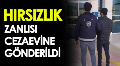 Nizip'te hırsızlık şüphesi cezaevine gönderildi