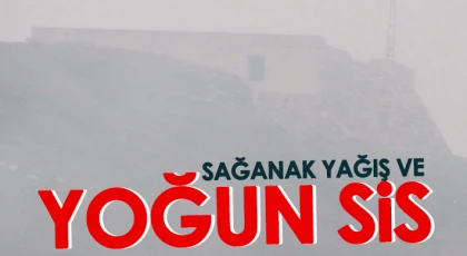 Araban’da sağanak yağış ve yoğun sis etkili oldu