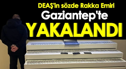 DEAŞ'in sözde Rakka Emiri Gaziantep'te yakalandı